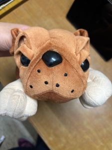 Dog Toy Plushy