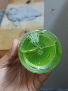 Quench Anti Dandruff Shampoo