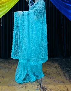 One Time Use Beautiful Net Saare