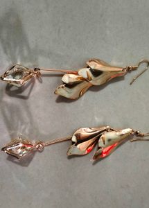 Combo Of Earings