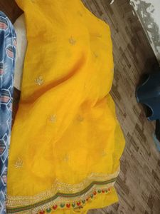 Just Wow Saree With matching Peticot