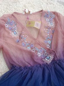 Embroidered Dress