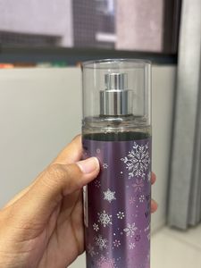 💜 WINTER BERRY WONDER 💜