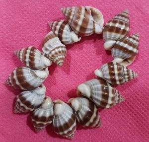 Seashell Bracelet