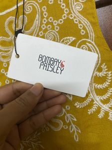 🌻Mustard Embroidered Dress