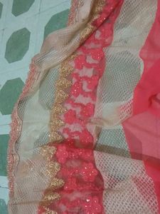 Half Net Sadi With Blause