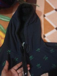 Hoddie