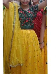 Beautiful Choli