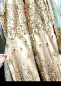 Elegant Ethnic front cut Gown