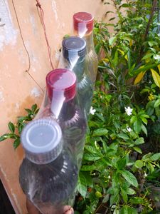 NEW WITH TAG NAYASA BONO BOTTLE PACK OF 4