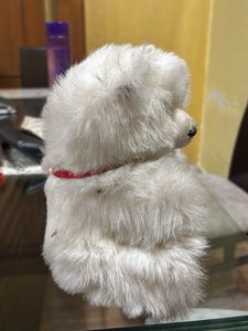Cute Teddy