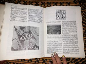 Larousse Gastronomique The Encyclopedia Of Food,wi