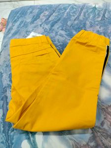 Stylish Yellow Jogger Pants