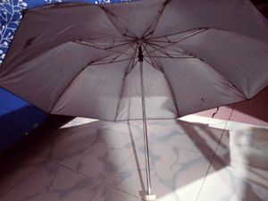 Black Umbrella