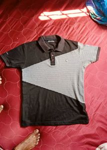 Striped Polo T-Shirt