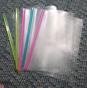 Stick Transparent A4 Size File Folder