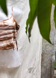 SHEIN SEXIEST CROP TOP