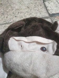 Stuffed Monkey Cap 🧢