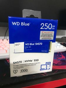 WD Blue SN570 NVMe 250GB, Upto 3300 MB/s