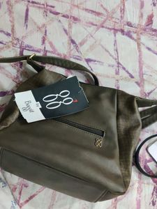 Baggit Brown Bag
