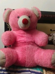Pink Teddy Bear - Soft and Cuddly  big size coine❌