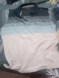 Striped Polo T-Shirt