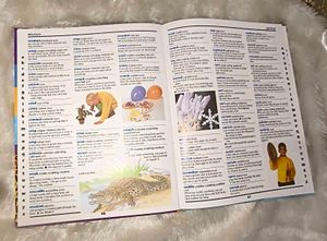 The Grolier Children Dictionary Book