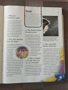 🆕 Encyclopedia Q&amp;A Book