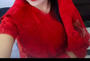 Red Embellished Saree With Blouse And Peticoat