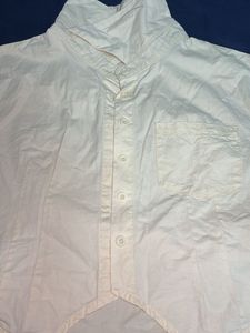 Cute Cropped Shirt