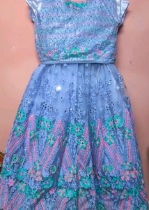 Party Wear Lehenga Choli