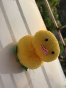 Soft Toy