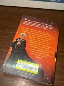 Harry Potter Part 6 Half Blood Prince