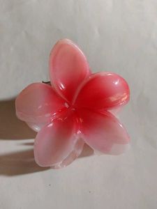 Hair claw Clip