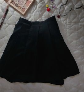 Pleated Skirt