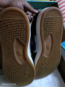 Nike SB Allyoop Sneakers For Men