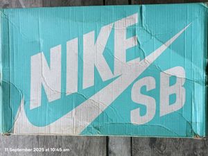 Nike SB Allyoop Original Pairs