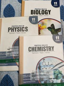 Class 11 CBSE Practical Books