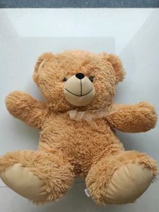 Cute Teddy Bear