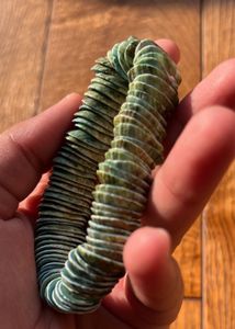 Green Shell Bracelet