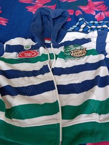 Striped Zip-Up Hoodie