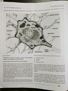 Master&#39;s Psychology CUET Preparation Book