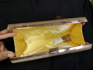 Elegant Butterfly Clutch