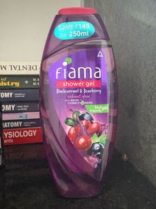 2 in 1 vaccum cleaner