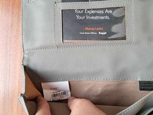Baggit Light Grey Wallet