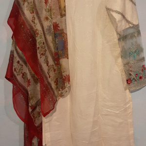beautiful  pak dress