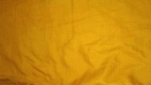 Orange Button-Down Shirt