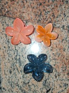 Flower Hair Clips (Set of 3)