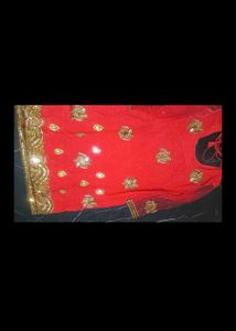 Embellished Gajari Colour Net Aur Crapeab