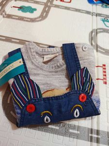 Cute Baby Outfit Set Ideal For Gifting